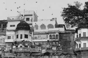 Dwivedi Hotels Hotel Elena Image