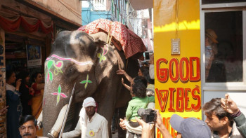 Good Vibes hostel Image
