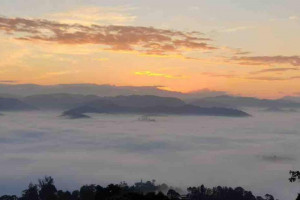 Sereno Hills, Kuttikkanam, Vagamon, Peermade Image