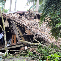 China on travel alert: Cancelled trains and travel chaos as Beijing shuts down amid typhoon-like wind
