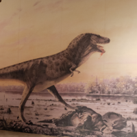 In June, Chennai will host the much-anticipated Dinosaur Festival