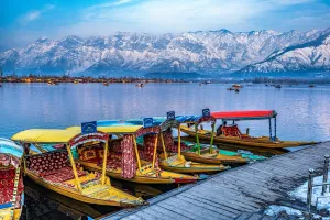 Glorious Kashmir - Honeymoon Special 5D 4N
