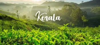 “5N/6D in Kerala — God’s Own Country never disappoints |