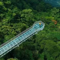 Theni to Vagamon – Thekkady – Theni Tour Package (2 Nights / 3 Days)