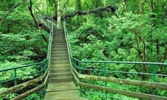 Theni to Vagamon – Thekkady – Theni Tour Package (2 Nights / 3 Days)