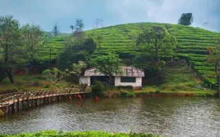 2 Nights / 3 Days Theni – Vagamon – Alleppey – Theni Tour Package