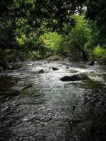 Theni to Alleppey – Thekkady – Theni 2 Nights / 3 Days Tour Package