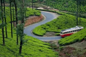 Theni to Alappuzha (Alleppey) – Theni 2 Nights / 3 Days Tour Package