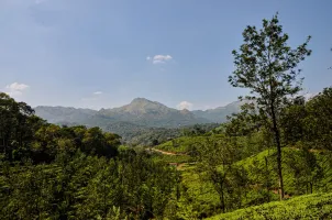 2 Nights / 3 Days Theni – Wayanad – Theni Tour Package