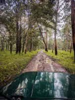2 Nights / 3 Days Theni – Wayanad – Theni Tour Package