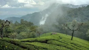 2 Nights / 3 Days Theni – Masanakudi – Kunnur – Theni Tour Package