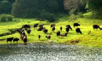 2 Nights / 3 Days Theni – Munnar – Kanthalloor – Thekkady – Theni Tour Package