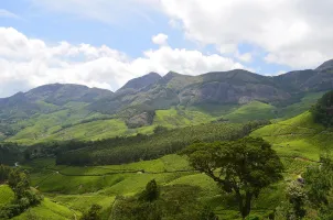 Theni to Munnar 1-Day Trip Itinerary by Rengha Holidays