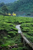 Rengha Holidays Presents: Theni & Megamalai - 2 Nights / 3 Days Tour Package