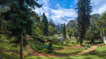 Exclusive One-Day Theni to Thekkady Tour Package