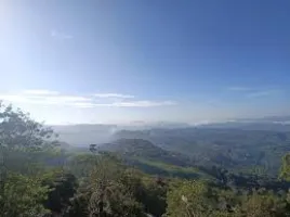 1 Night / 2 Days Theni - Thekkady - Suruli Falls - Rose Garden Tour