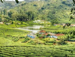 Rengha Holidays: Theni, Megamalai, Thekkady, Vagamon Luxury Tour