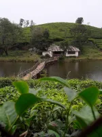 Rengha Holidays: Theni, Megamalai, Thekkady, Vagamon Luxury Tour