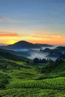 Theni - Dindigul - Sirumalai - Theni: Executive Group Day Trip