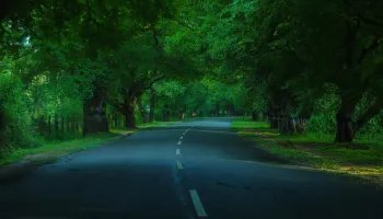 Rengha Holidays: 2-Day Kodaikanal Tour Package (Sedan by thenicalltaxi)