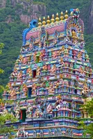 Theni Grand Day Trip: Megamalai, Waterfalls, & Temples - 12+1 TEMPO TRAVELLERPackage