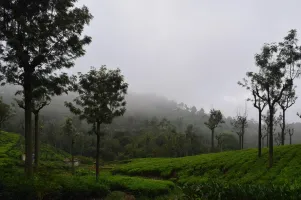 2 Nights / 3 Days Theni – Masanakudi – Kunnur – Theni Tour Package