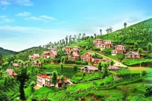 Theni - kodaikanal Tour Package (1N/2D)