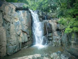 Theni – Pannaikadu Tour Package (1 Night / 2 Days)