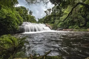 Theni - Pannaikadu Tour Package (1Night/2Days)