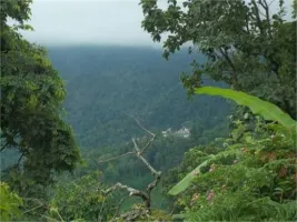 Theni - Pannaikadu Tour Package (1Night/2Days)