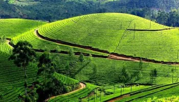 Coastal Escape: Theni to Varkala (1 Night / 2 Days)