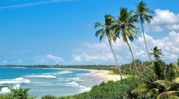 Sri Lanka 6 Days Budget Friendly Tour Package For You!