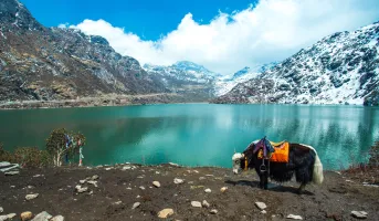 Sikkim Darjeeling Premium Travel Package - 5 Nights and 6 Days