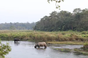 Chitwan Jungle Safari Tour – 3 Days