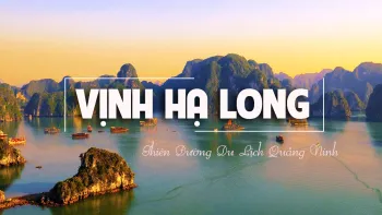 HCMC – Cu Chi – Halong Bay – Hanoi by TRAVEL ONE