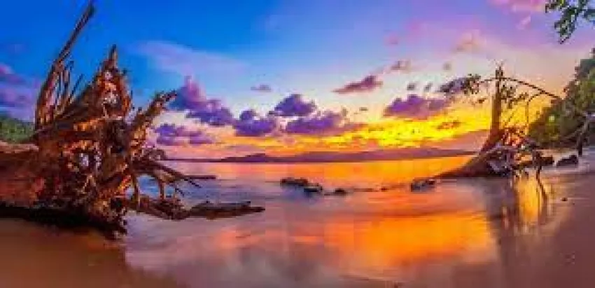 Amazing Andaman 04 Nights / 05 Days - Copy