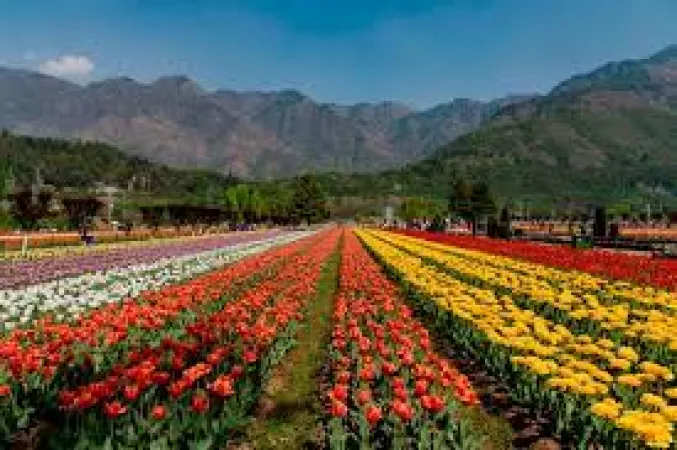 Rediscover Beautiful Kashmir