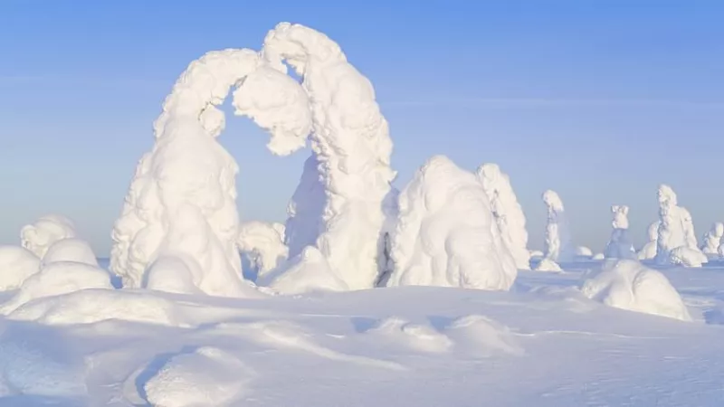 2-Day Trip to Saariselkä and Inari