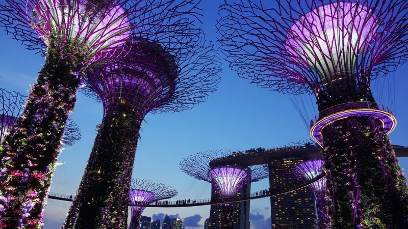 Singapore Package - 04 Nights/ 05 Days -With Out Flights