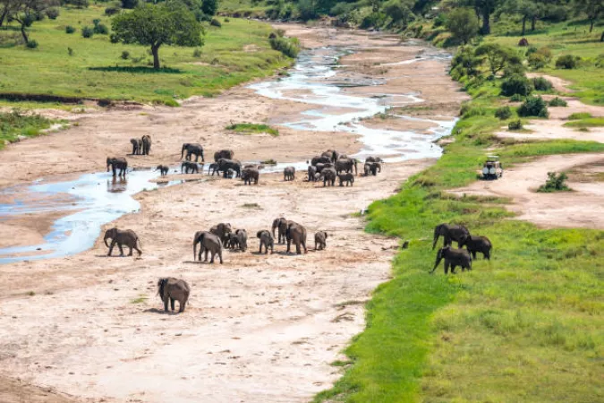 Group Tour into Africa's Heart-Unforgettable Four Days into Serengeti and Ngorongoro National Park