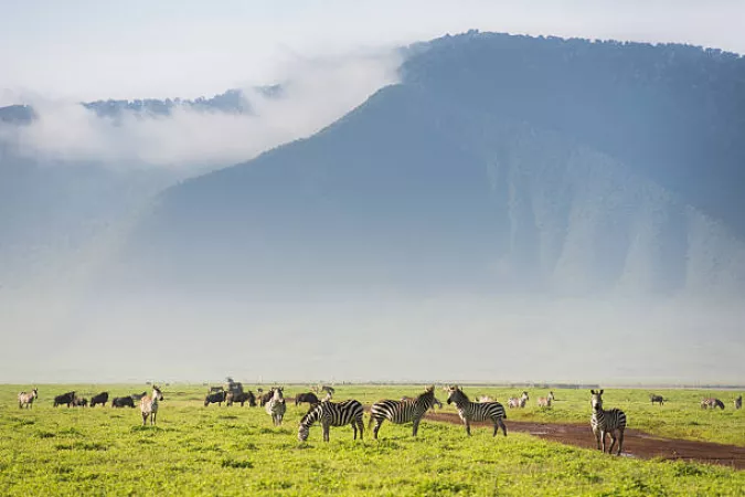 Explore the Best Big Five Wildlife-Ngorongoro Crater, Arusha National Park and Tarangire Luxury Tour in Three Days