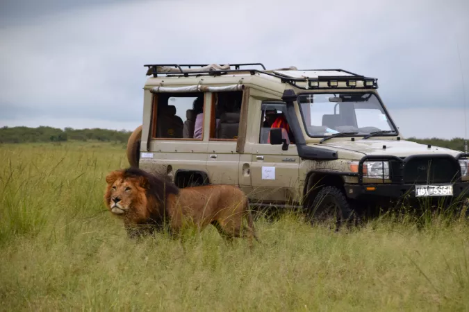 3 Days Masai Mara Safari