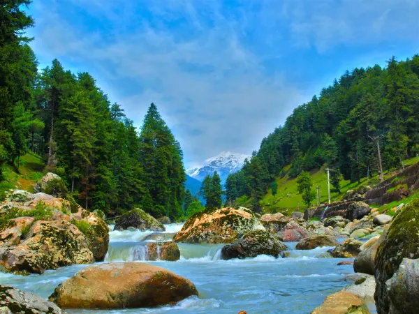 Kashmir Premium Travel Package for 5 Nights and 6 Days