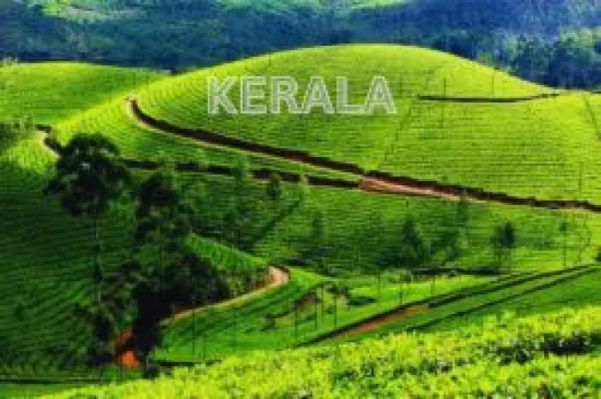 KERALA PACKAGE WITH MUNNAR, ALLEPPEY, KOVALAM, TRIVANDRUM & THEKKADY_2PAX_CP_3STAR