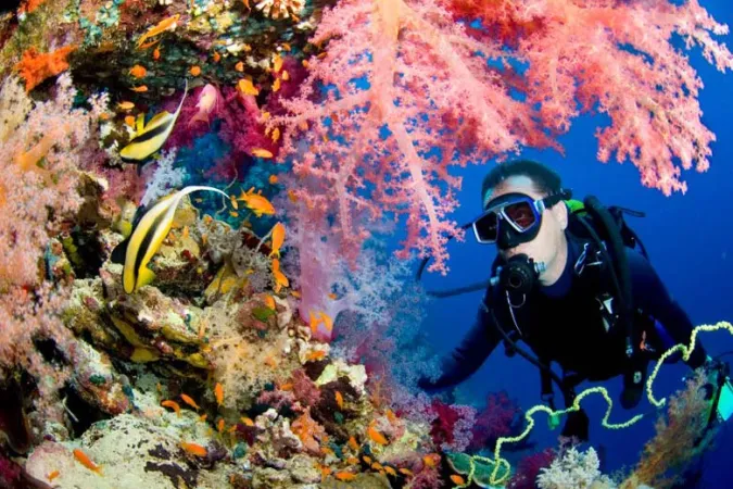 CUSTOMIZED ANDAMAN ADVENTURE PACKAGE FOR 10 NIGHTS & 11 DAYS