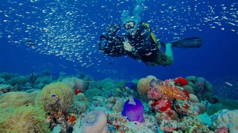 CUSTOMIZED ANDAMAN HONEYMOON PACKAGE FOR 6 NIGHTS & 7 DAYS