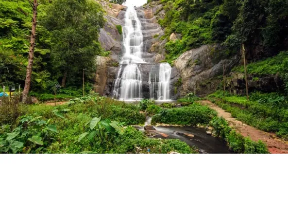 Honeymoon Package Ooty and Kodaikanal 4 Nights 5 Days Ex - Coimbatore @ 12,999/- per person