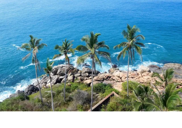 Honeymoon Kerala Trip with Kovalam - 5N/6D (30% Off) | BOOK NOW!!