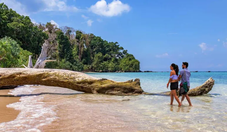 Unforgettable Andaman Honeymoon: 4 Nights & 5 Days of Romance