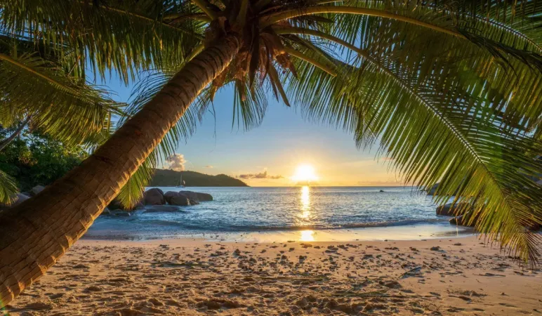 Discover Seychelles in 7 Days: The Perfect 6 Nights Island Escape